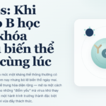 bNAbs là gì? Cách tế bào B chống nhiều biến thể HIV
