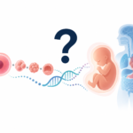 Cơ thể biết mình phải mọc thành hình người bằng cách nào?