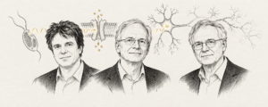Nobel Y sinh 2026: Karl Deisseroth, Peter Hegemann, Georg Nagel và cuộc cách mạng điều khiển tế bào thần kinh bằng ánh sáng